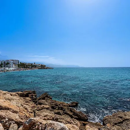 Apartment Toboso 1r Living *